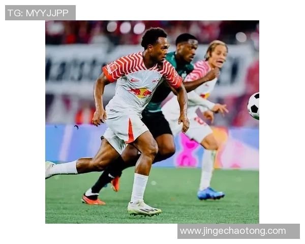 探索奥蓬达的魅力与文化深度揭示其在当代社会中的重要性与影响力