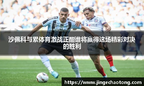 沙佩科与累体育激战正酣谁将赢得这场精彩对决的胜利