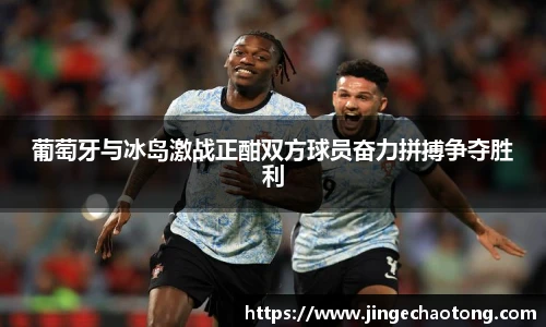 葡萄牙与冰岛激战正酣双方球员奋力拼搏争夺胜利